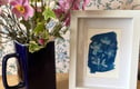Cyanotypes