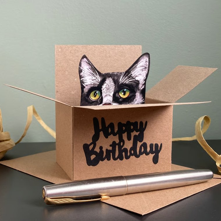 Tuxedo Cat Card; Birthday or Personalised. Cat in a box gift card holder