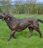 Labrador Playing with Toy Dog Statue Large Bronze Resin Garden Sculpture - Image 1