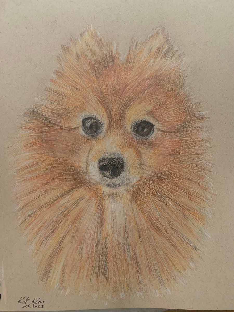 Custom Personalised Pet Portrait Colour Pencil Drawing, size 9 x 12 inches