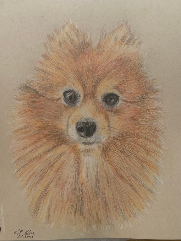 Custom Personalised Pet Portrait Colour Pencil Drawing, size 9 x 12 inches