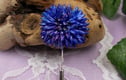 Cornflowers