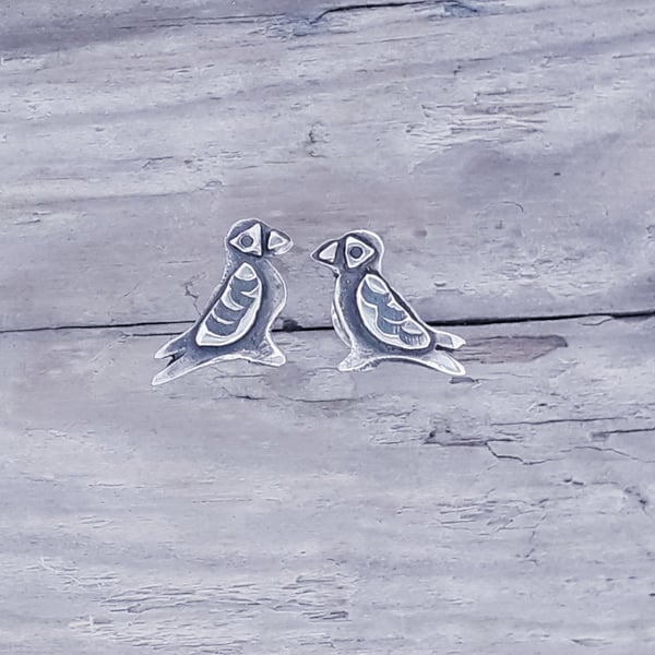 Peedie Puffin Ear Studs