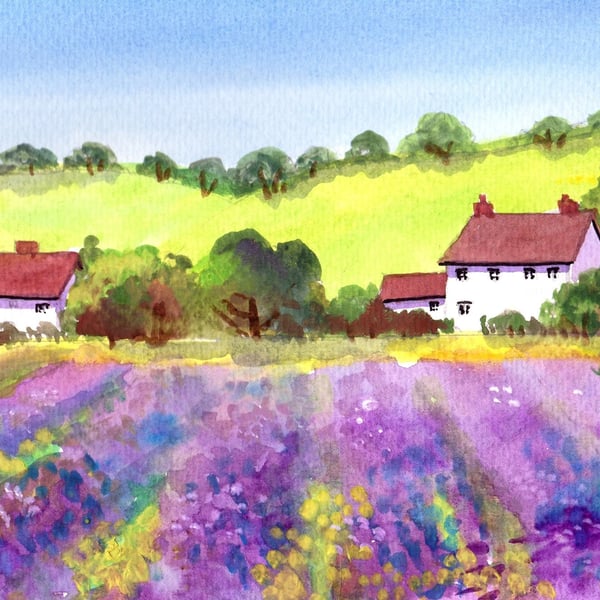 Cotswolds, Lavender Farm, Watercolour Print A3 -  in 20 x 16 '' Mount