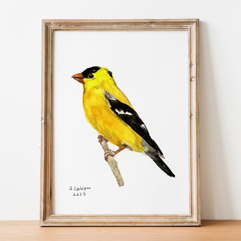 American Goldfinch A5 Inkjet Print