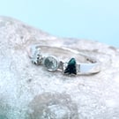 Fine silver fir tree ring