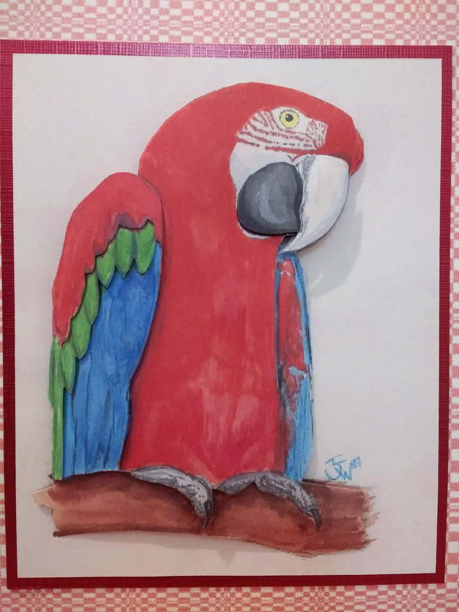 Red and Green Macaw Decoupage birthday card, original