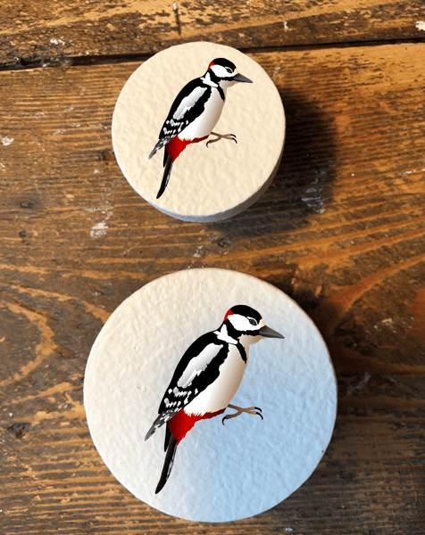 Handmade Woodpecker bird pine door knobs wardrobe drawer handles decoupaged