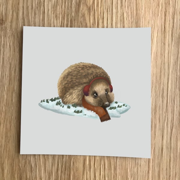 Seasonal Hedgehog Square Post Card Print