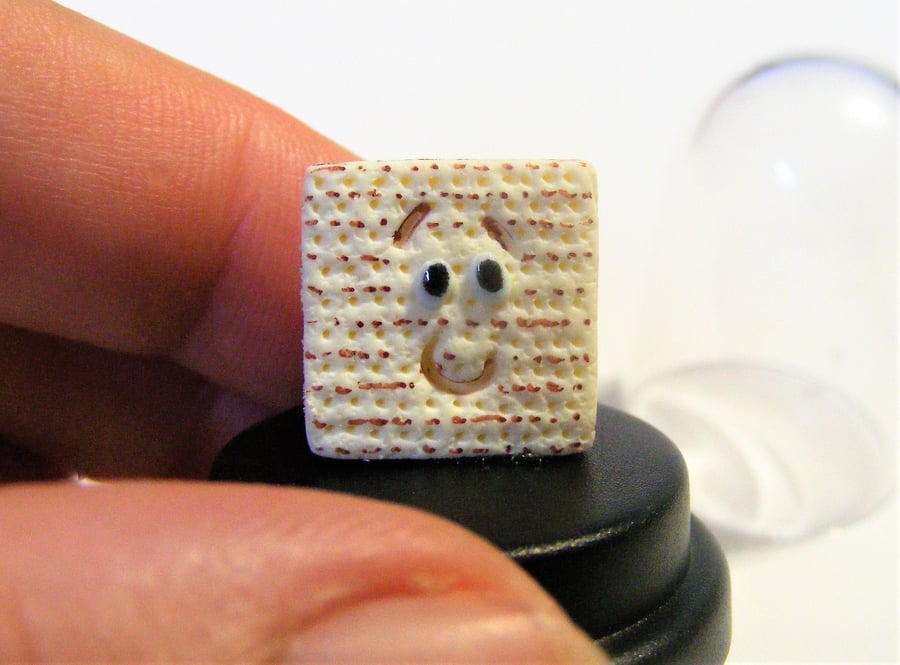 Pet Matzah, Matzah gift, Matzo pet, Passover gift