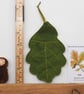 Acorn doll in an oak leaf - Image 7