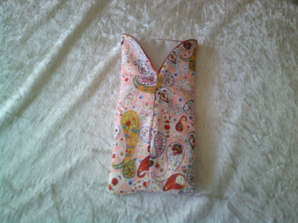 Paisley Design on a Peach Background Fabric Glasses Case