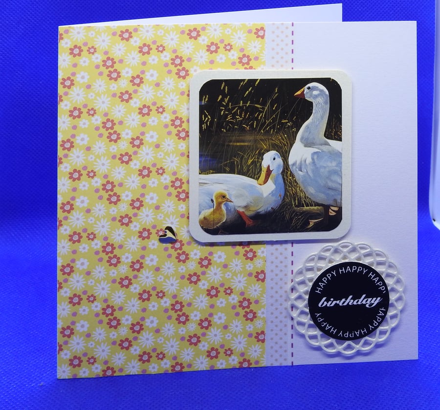 Ducks birthday card
