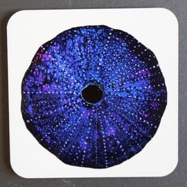 Sea Urchin Coaster