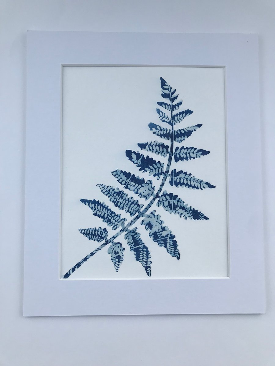 Fern Art Gift idea, Silhouette Style Cyanotype Photogram 