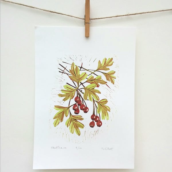 Hawthorn - linoprint