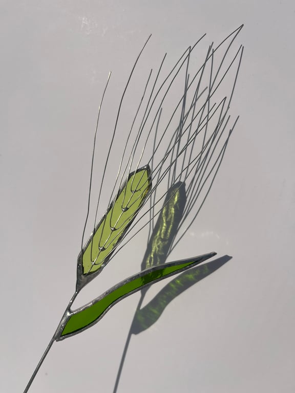 Stained glass barley stem