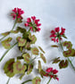 Paper Geranium - Crimson - Image 6