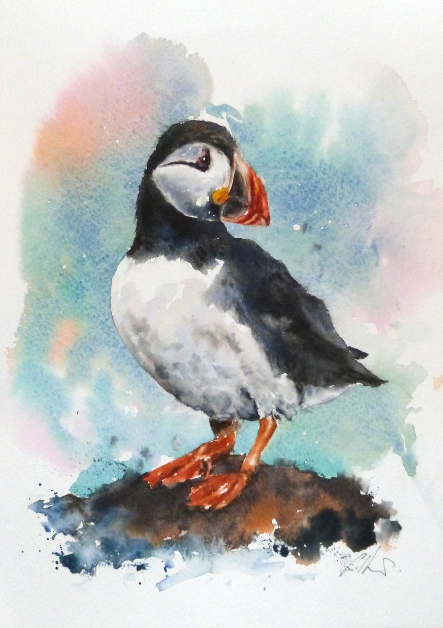 A Puffin, Original Watercolour Painting.