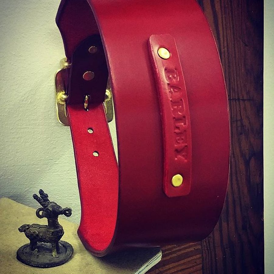 Personalised Dog Collar and Lead