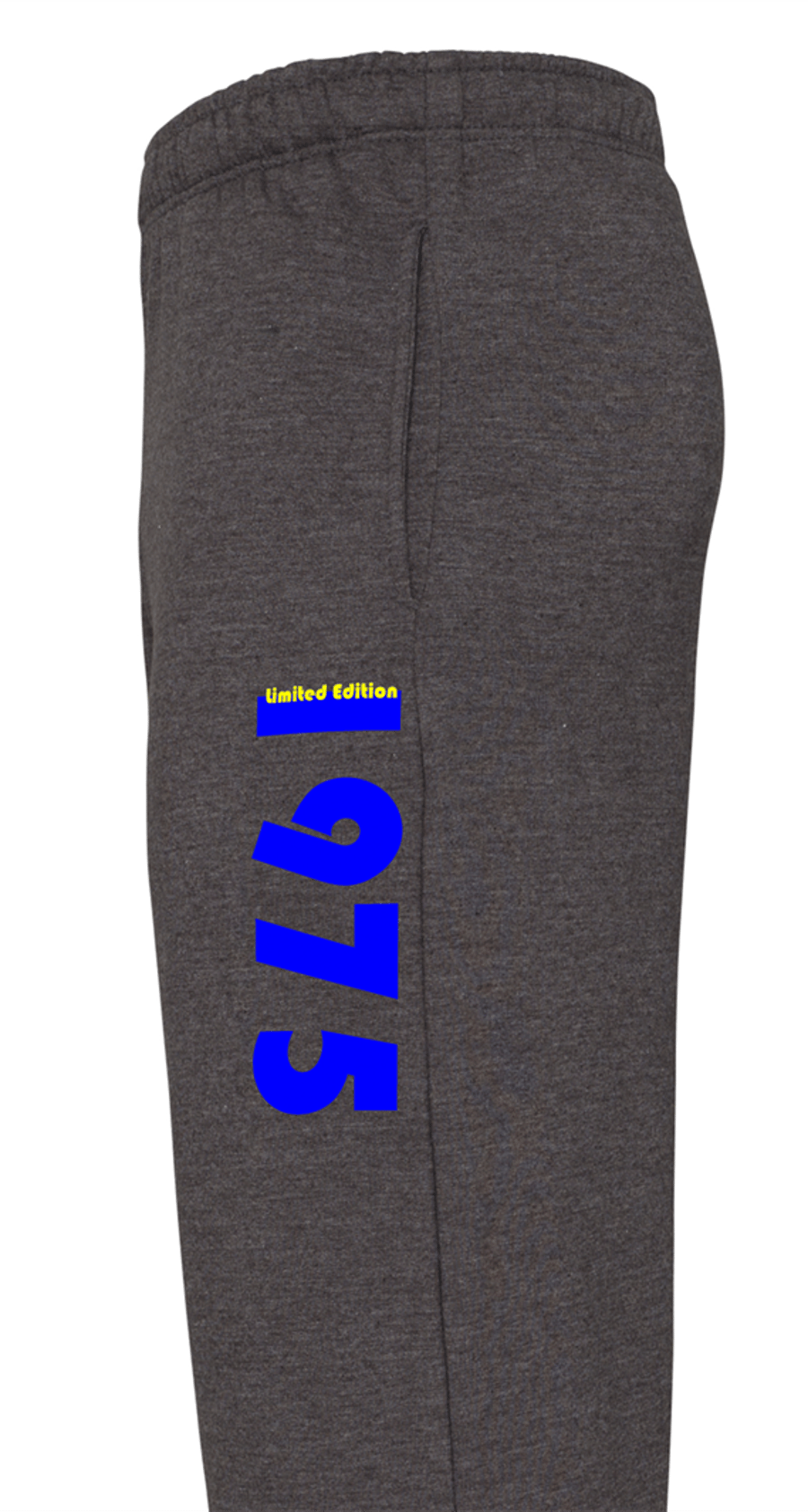 Custom Retro Birth Year Joggers