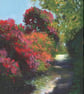 Through the Flowers