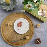 Robin and Snowdrop Coaster 