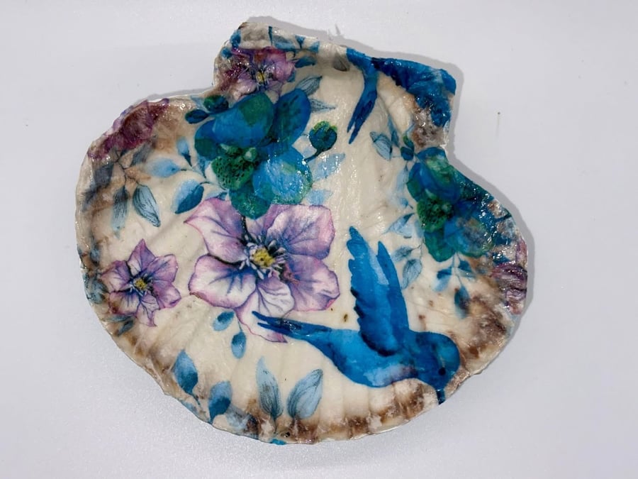 Scallop shell soap dish