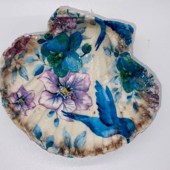 Scallop shell soap dish