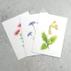 Postcards (pack of 6) Wildflower Eco friendly