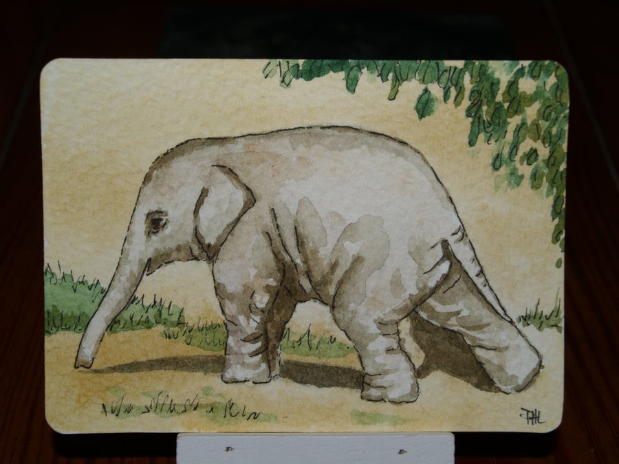 ACEO Original Baby Elephant watercolour