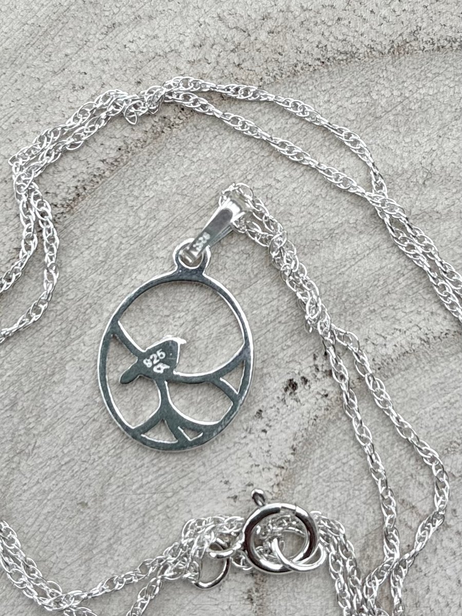 Sterling Silver Nightingale Pendant on 40cm Rope Chain