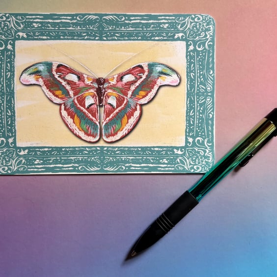 Framed Atlas Moth illustrated postcard (mini print)