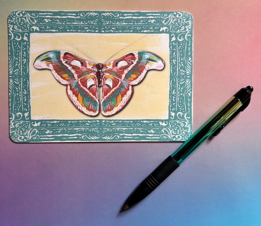 Framed Atlas Moth illustrated postcard (mini print)