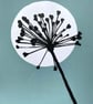 Botanical art, Garden Allium, seed head, shadow painting, handmade, signed, blue - Image 3