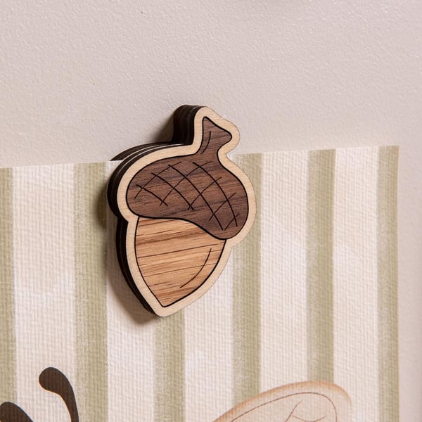 Little Acorn Wall Magnet - To Hold Children's Artwork, Posters and Prints.