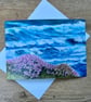 Thrift on the Cliffs - Cornish coast card