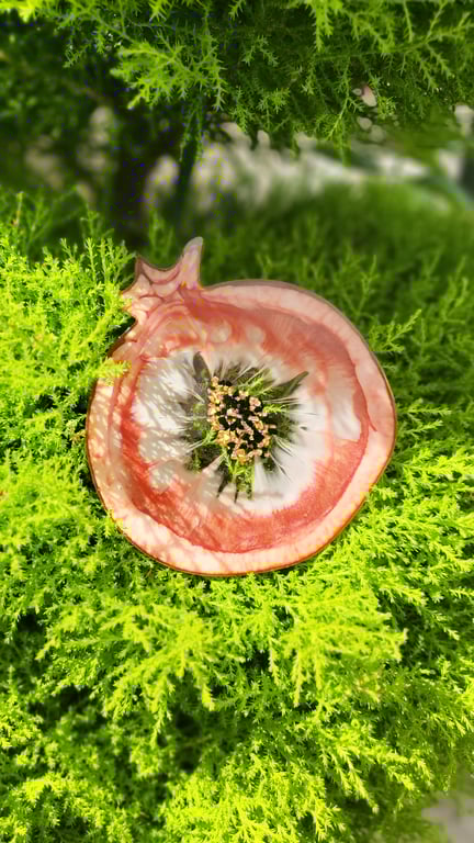 Pomegranate Epoxy Coaster,Red perlMug rug, TrayKitchen,Dining,Gift,Mother's day