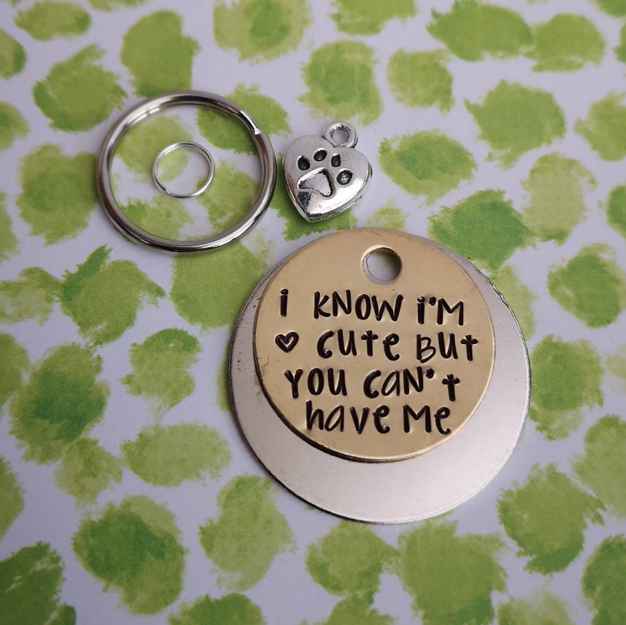 I know I'm cute but you can't have me - cat dog tag pet tag ID PoshTags Collar C