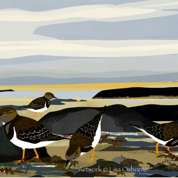 Turnstones - bird art print - coastal birds