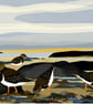Turnstones - bird art print - coastal birds - Image 1