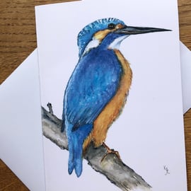 A5 blank card of Kynance Kingfisher - 