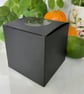 Lime Basil and Mandarin Scented Soy Candle Vegan Friendly Handcrafted - Image 10