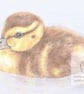 Duckling Blank Card - Image 2