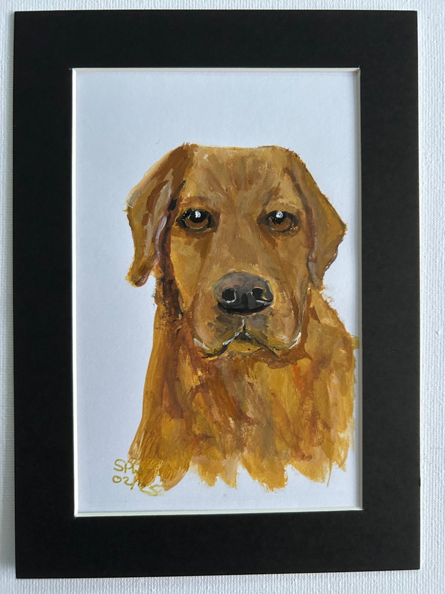 Original painting Labrador 5x7" portrait 