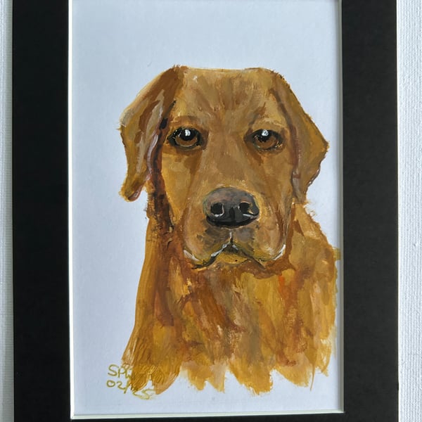 Original painting Labrador 5x7" portrait 