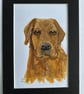 Original painting Labrador 5x7" portrait 