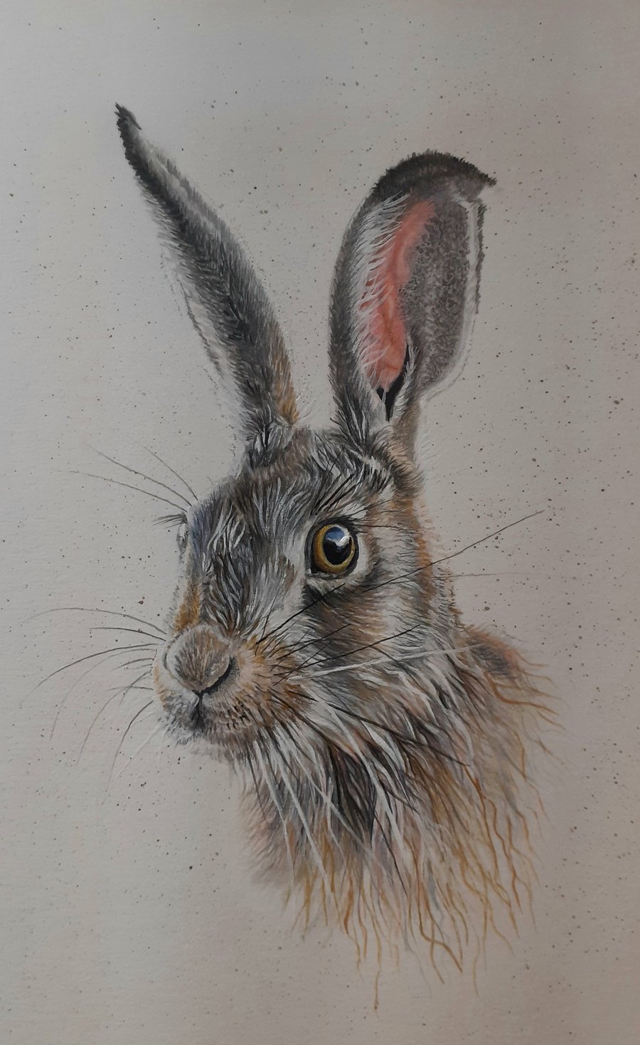 watercolour painting of hare