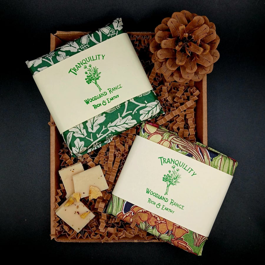 Enchanted Forest Botanical Wax Melts - Woodland Walk & Midnight Glade