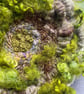 Moss Hand Woven Circular Wall Hanging - Image 4